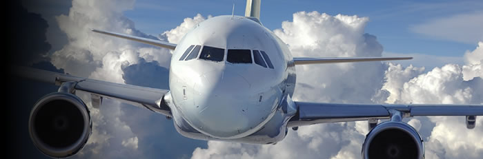plane in flight